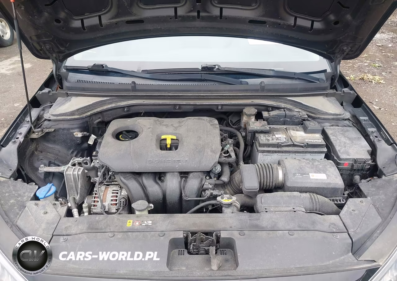 2019 Hyundai Elantra Se VIN:5NPD74LF8KH451431 - 10