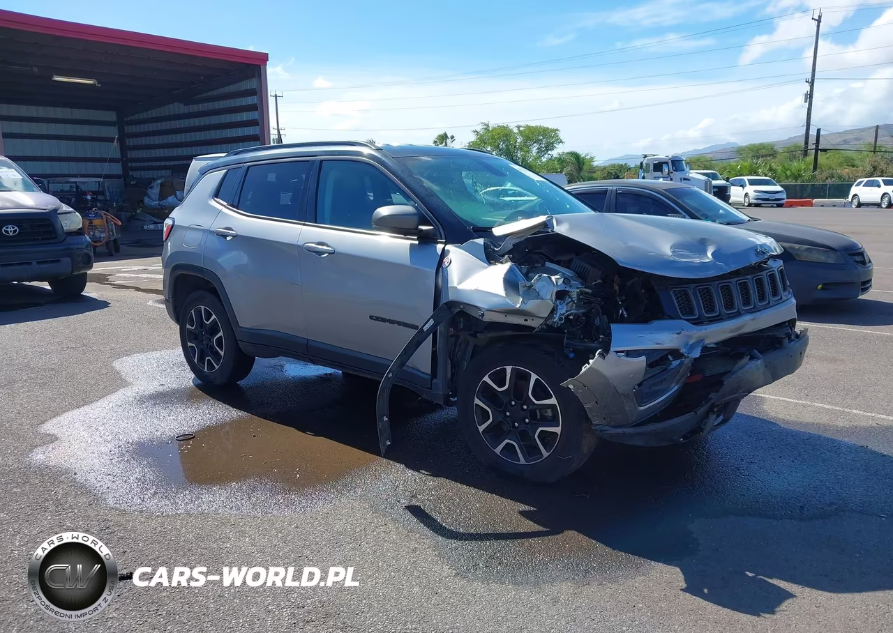 2020 Jeep Compass Trailhawk 4X4 VIN:3C4NJDDB9LT111496 - 1