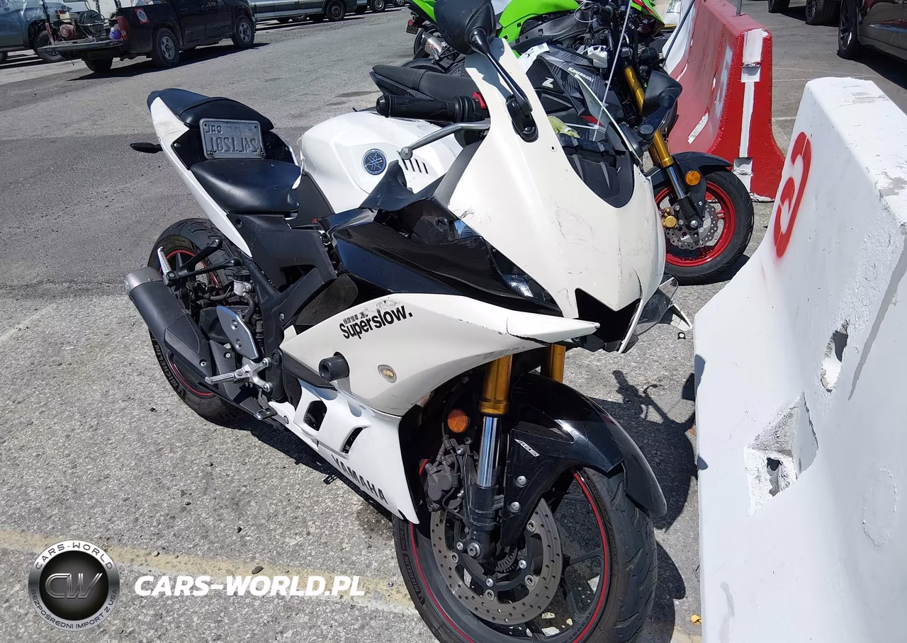 2019 Yamaha Yzfr3 A