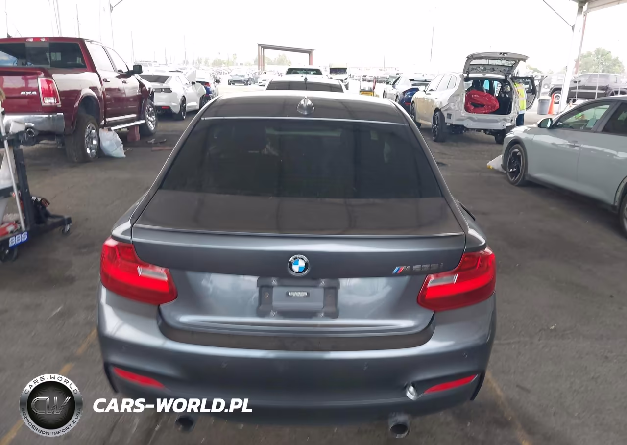 2014 BMW M235 VIN:WBA1J7C53EVW84969 - 17
