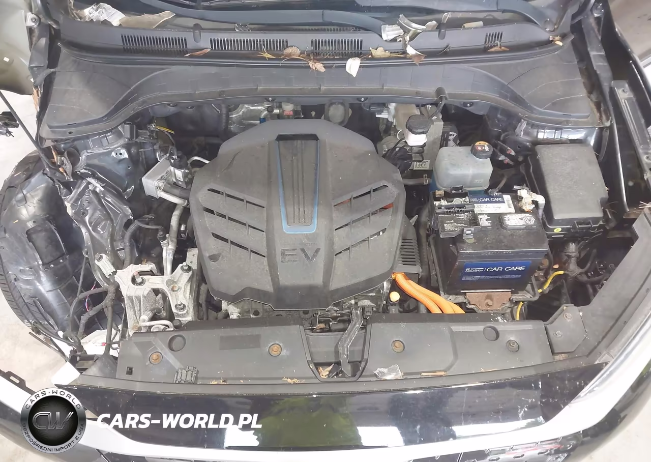 2019 Hyundai Kona Ev Limited VIN:KM8K33AG1KU040317 - 10