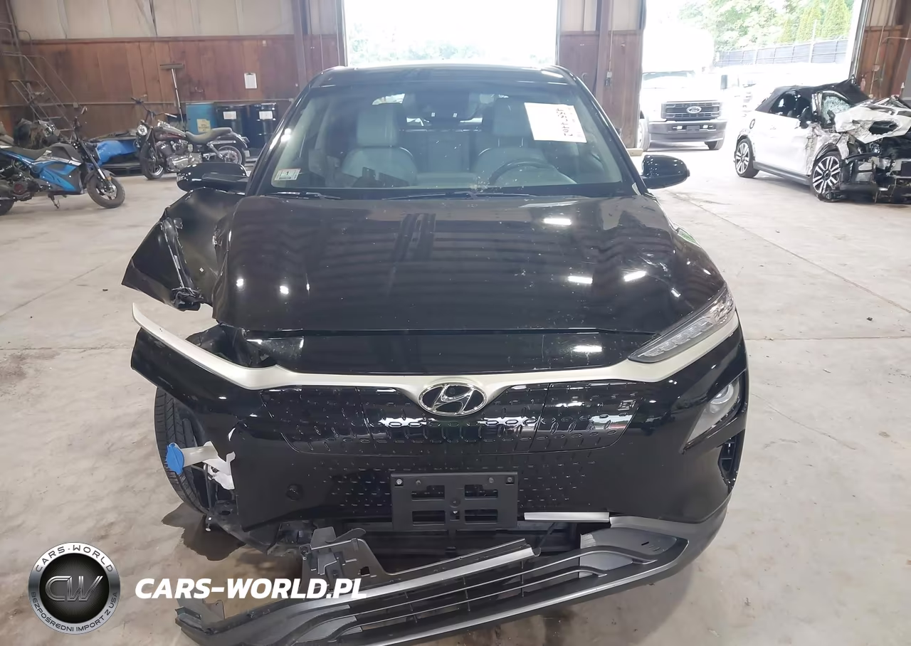2019 Hyundai Kona Ev Limited VIN:KM8K33AG1KU040317 - 13