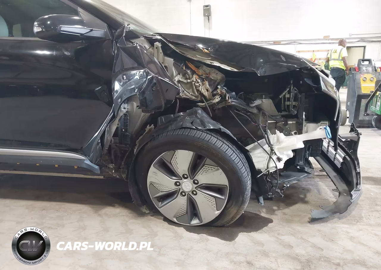 2019 Hyundai Kona Ev Limited VIN:KM8K33AG1KU040317 - 6