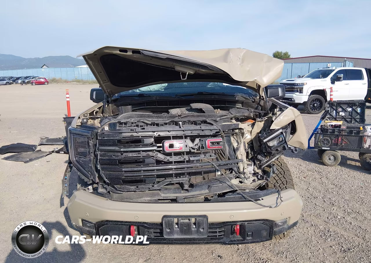 2023 GMC Sierra 1500 4Wd Short Box At4 VIN:1GTUUEE82PZ141384 - 13