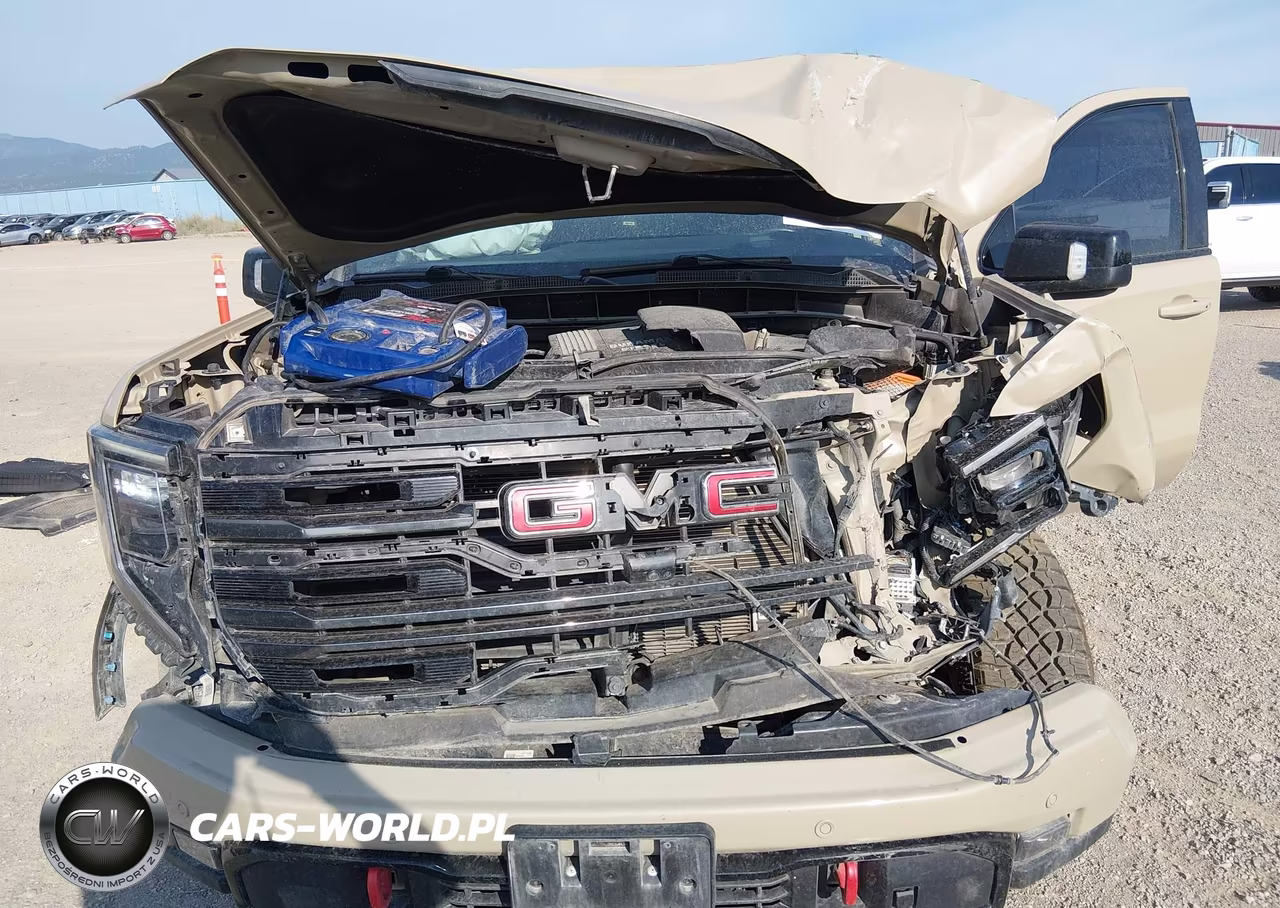 2023 GMC Sierra 1500 4Wd Short Box At4 VIN:1GTUUEE82PZ141384 - 18