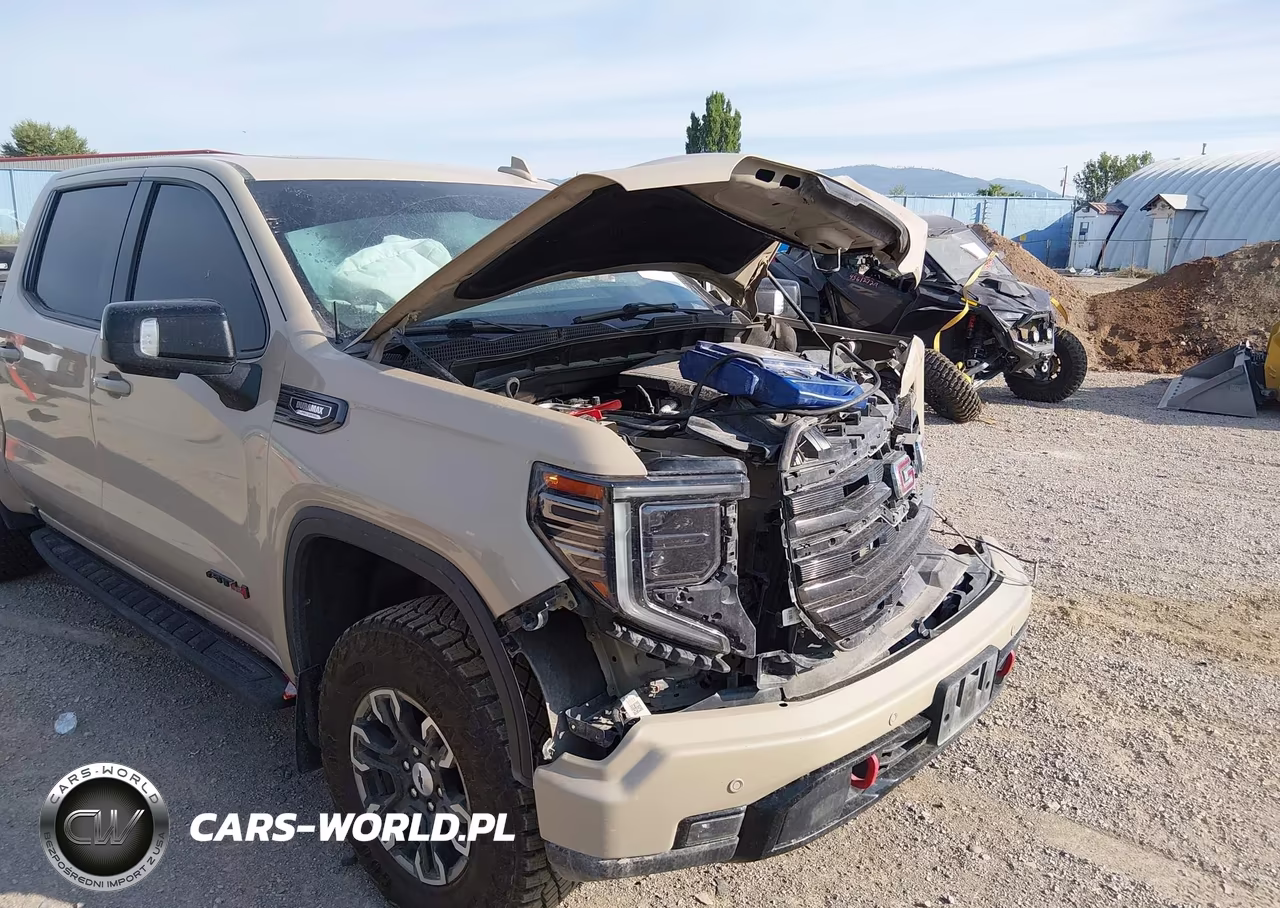 2023 GMC Sierra 1500 4Wd Short Box At4 VIN:1GTUUEE82PZ141384 - 19