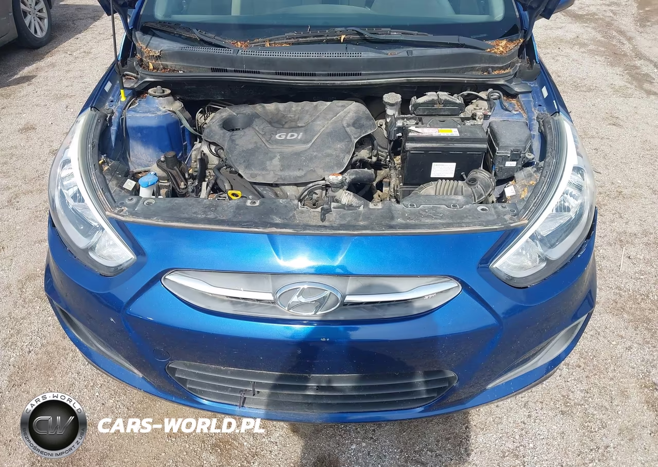 2016 Hyundai Accent Se VIN:KMHCT4AE2GU031268 - 10