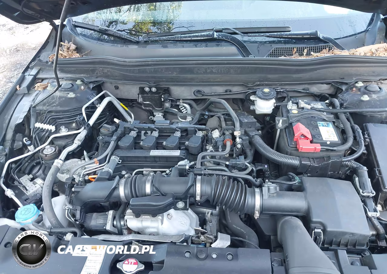 2019 Honda Accord Sport VIN:1HGCV1F33KA042392 - 10