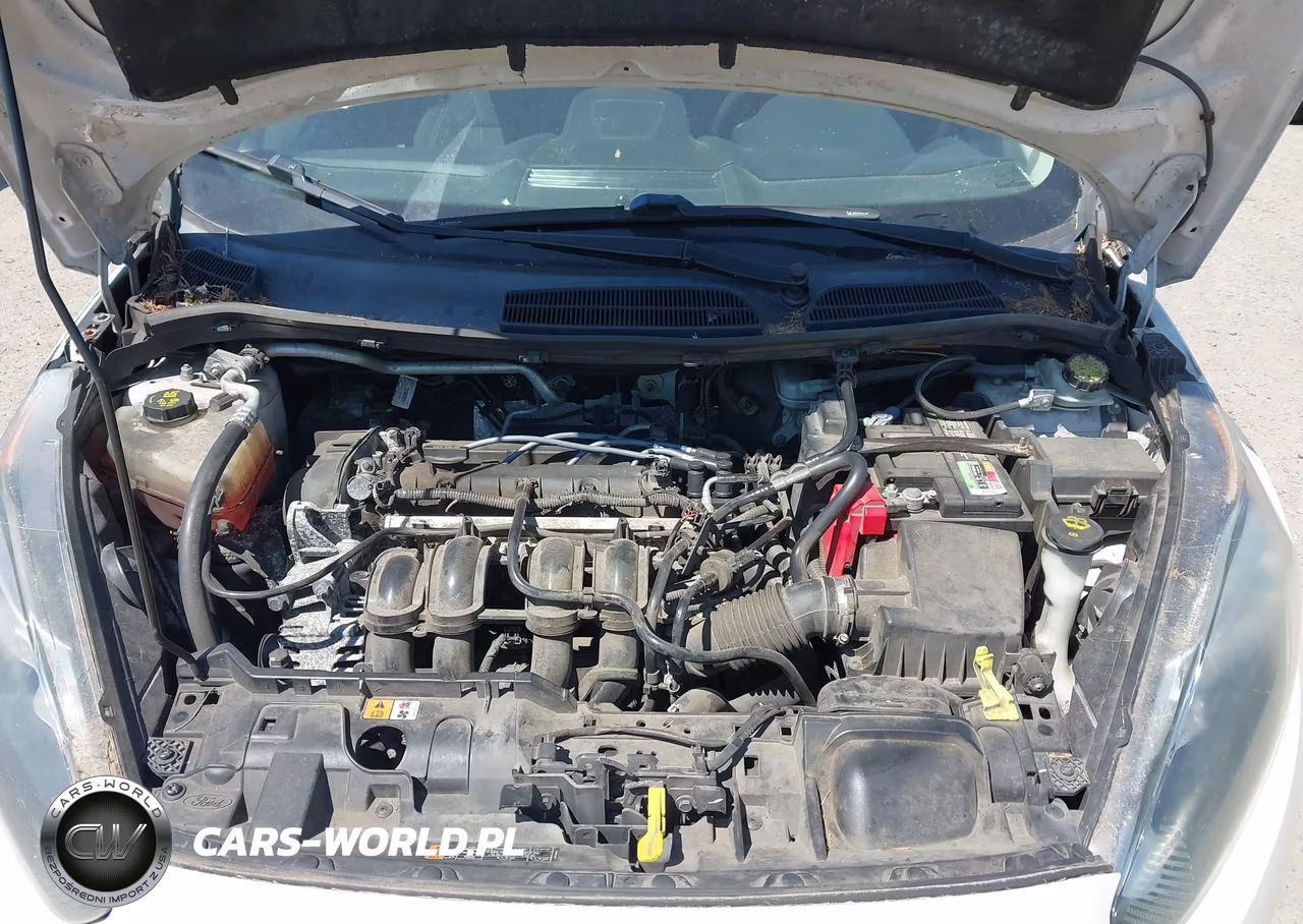 2016 Ford Fiesta Se VIN:3FADP4BJ6GM105150 - 10