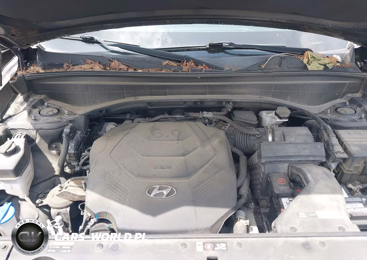 2020 Hyundai Palisade Sel VIN:KM8R4DHE2LU104582 - 10