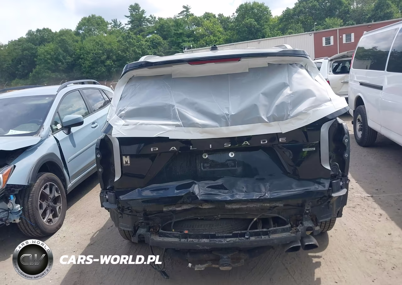 2020 Hyundai Palisade Sel VIN:KM8R4DHE2LU104582 - 17