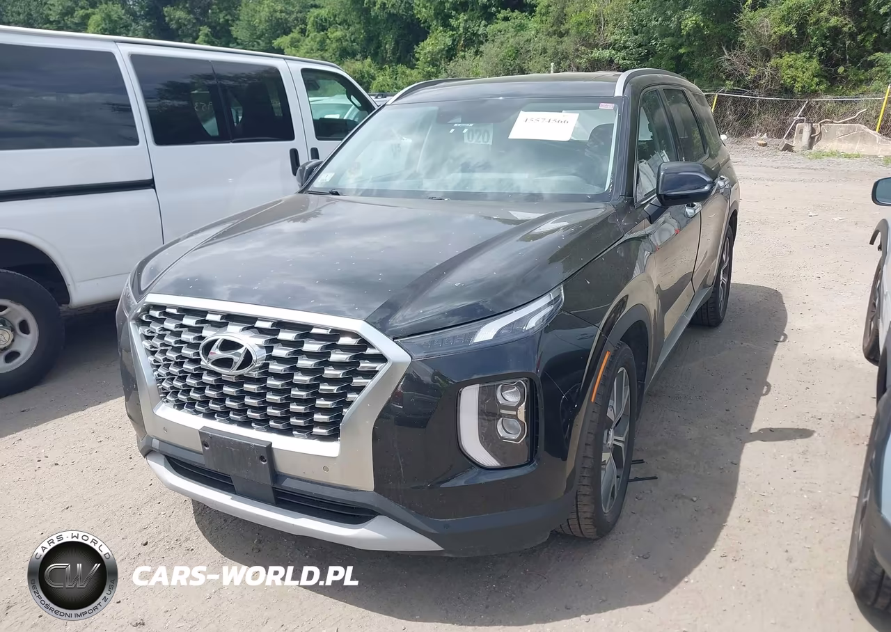 2020 Hyundai Palisade Sel VIN:KM8R4DHE2LU104582 - 2