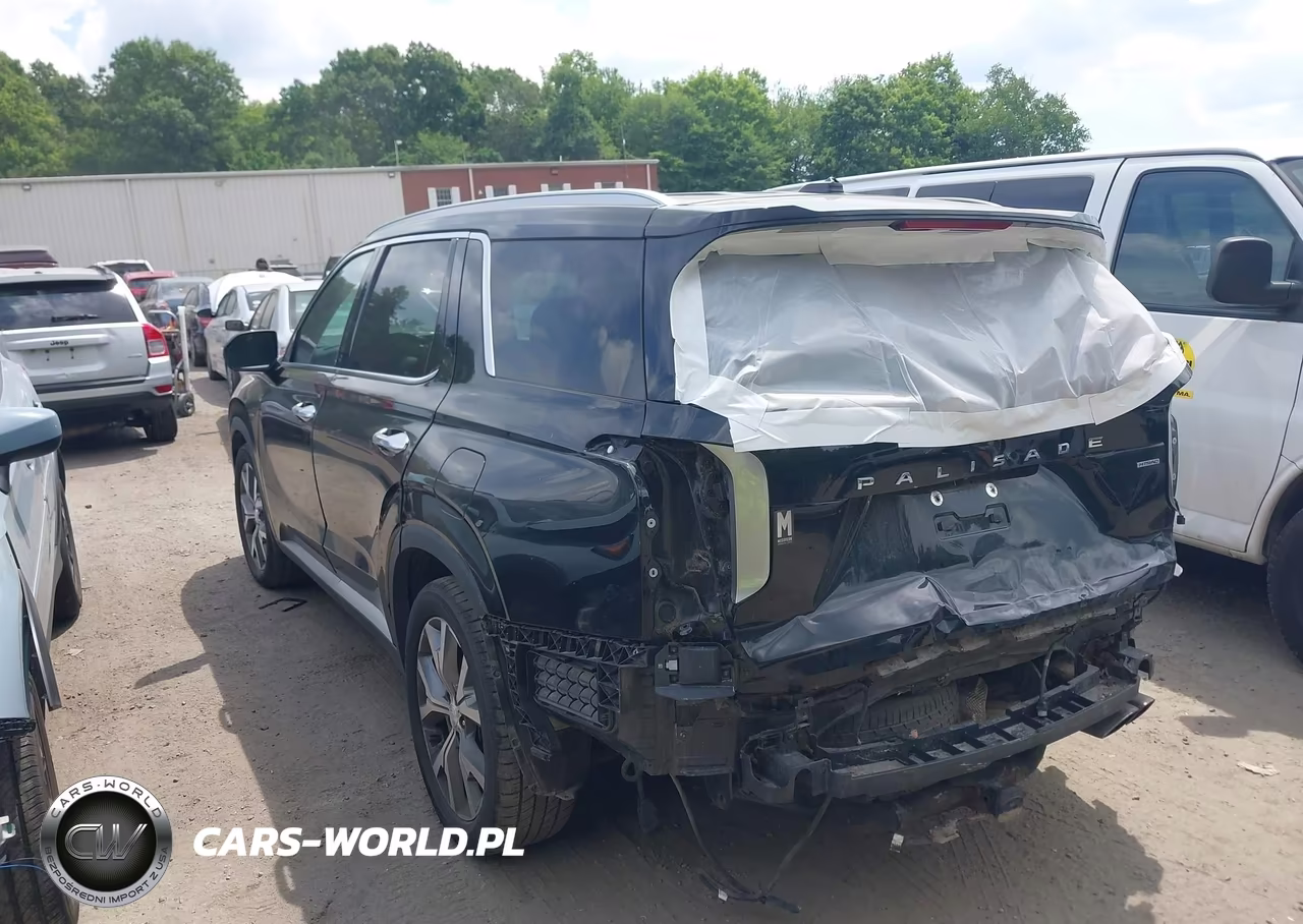 2020 Hyundai Palisade Sel VIN:KM8R4DHE2LU104582 - 3