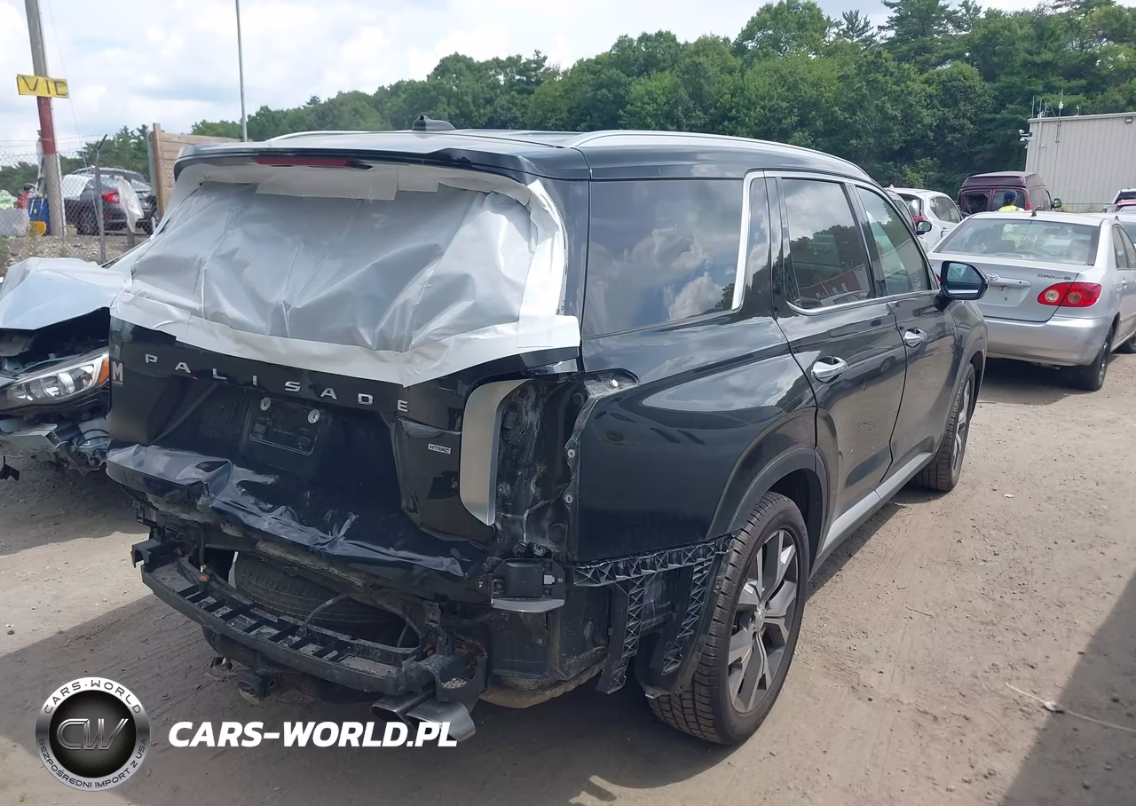 2020 Hyundai Palisade Sel VIN:KM8R4DHE2LU104582 - 4