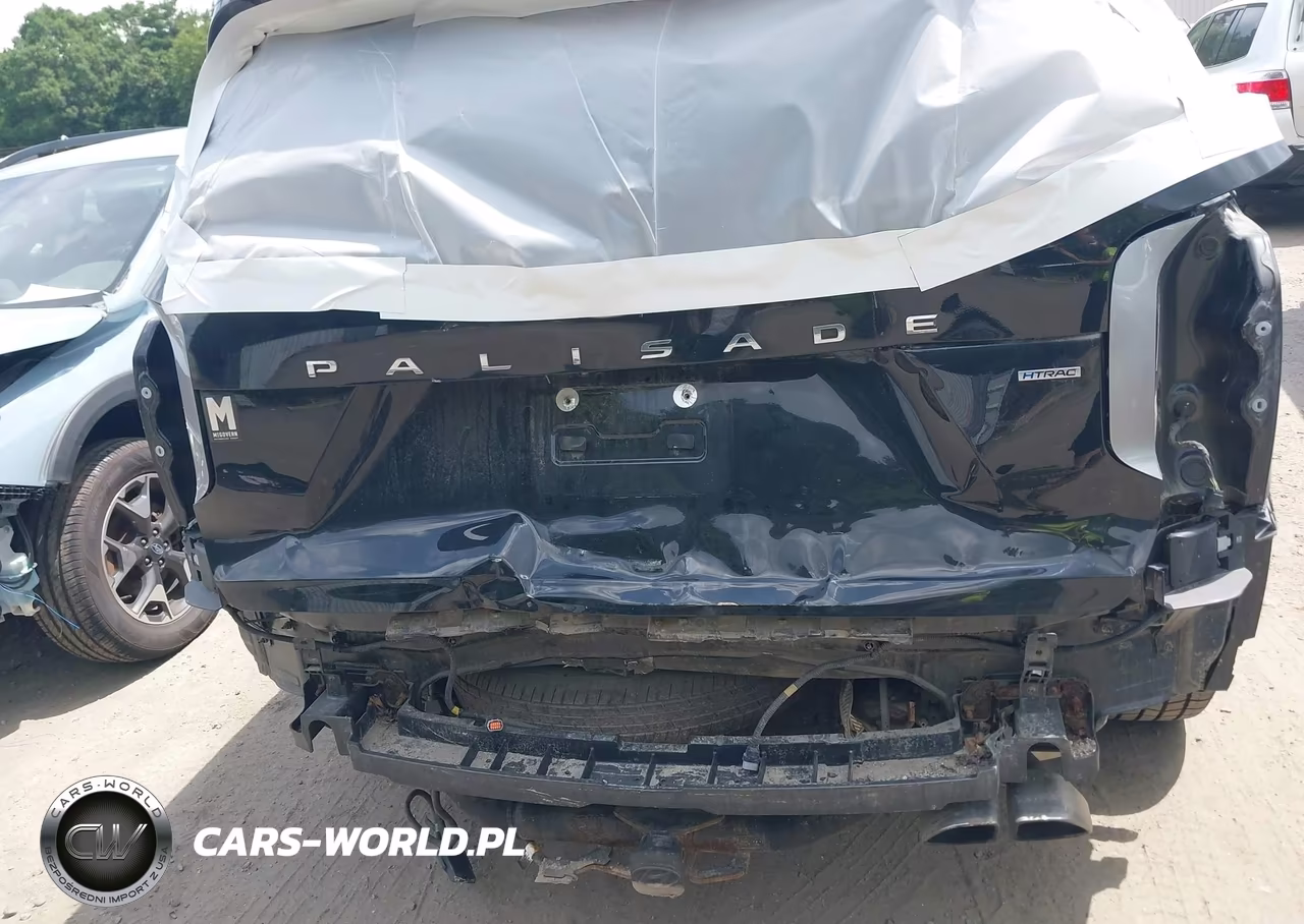 2020 Hyundai Palisade Sel VIN:KM8R4DHE2LU104582 - 6