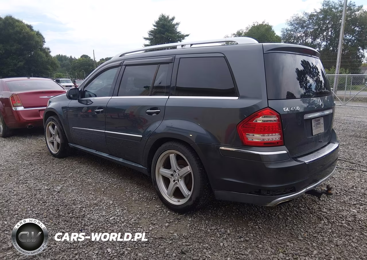 2010 Mercedes-Benz Gl 450 4Matic VIN:4JGBF7BE2AA538151 - 3
