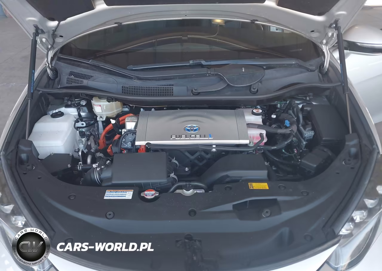 2019 Toyota Mirai VIN:JTDBVRBDXKA007369 - 10