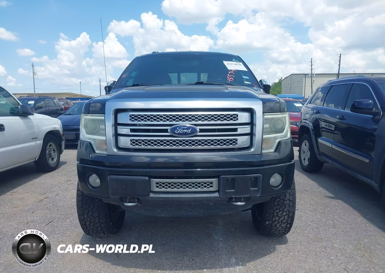 2013 Ford F-150 Platinum VIN:1FTFW1ET7DFB19393 - 12