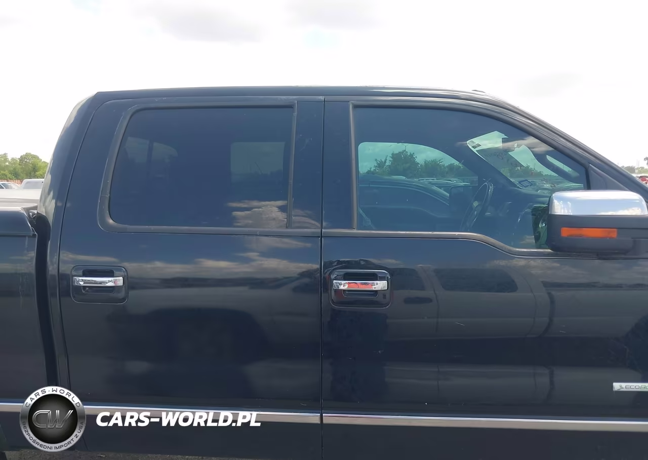 2013 Ford F-150 Platinum VIN:1FTFW1ET7DFB19393 - 13