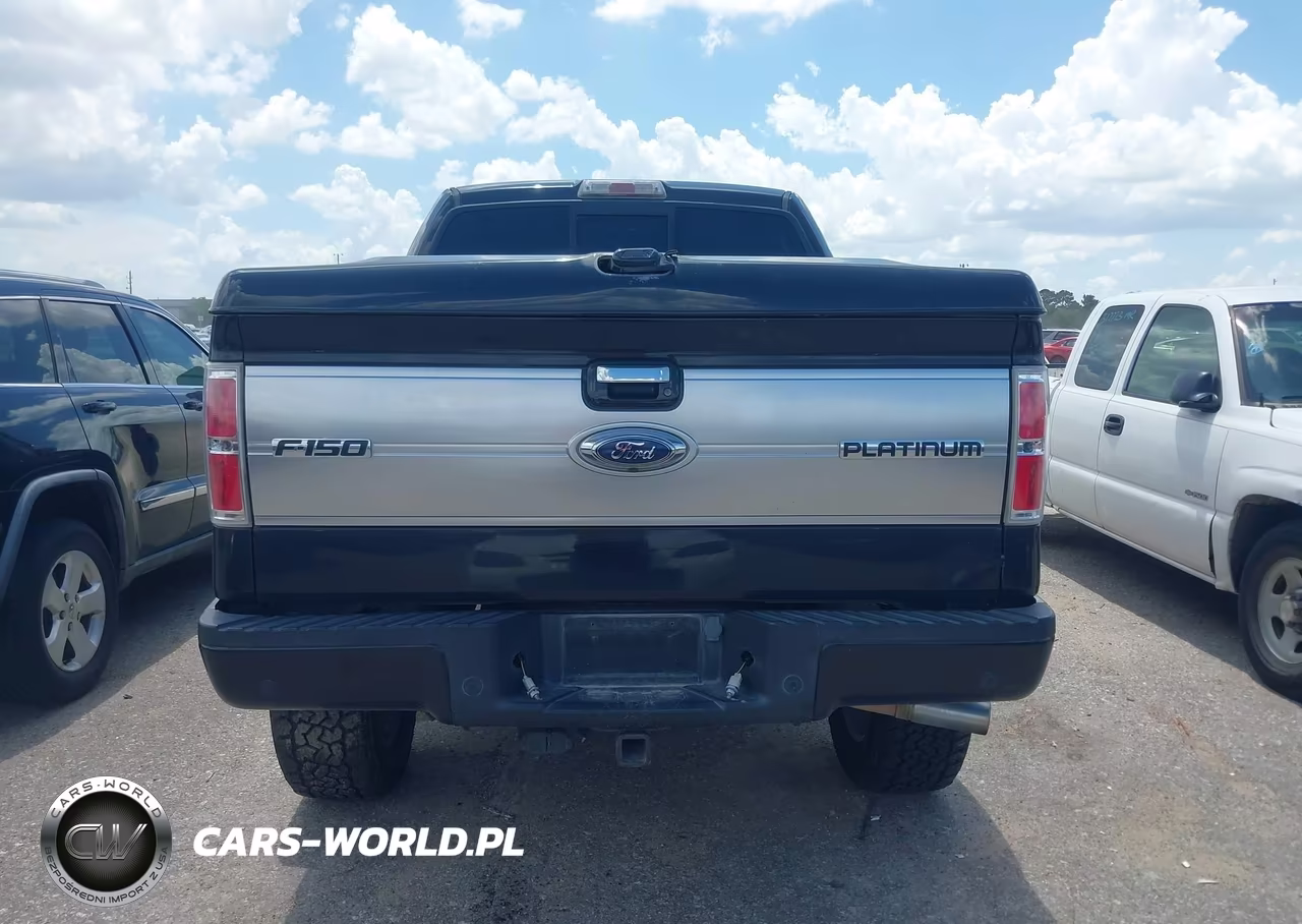 2013 Ford F-150 Platinum VIN:1FTFW1ET7DFB19393 - 16