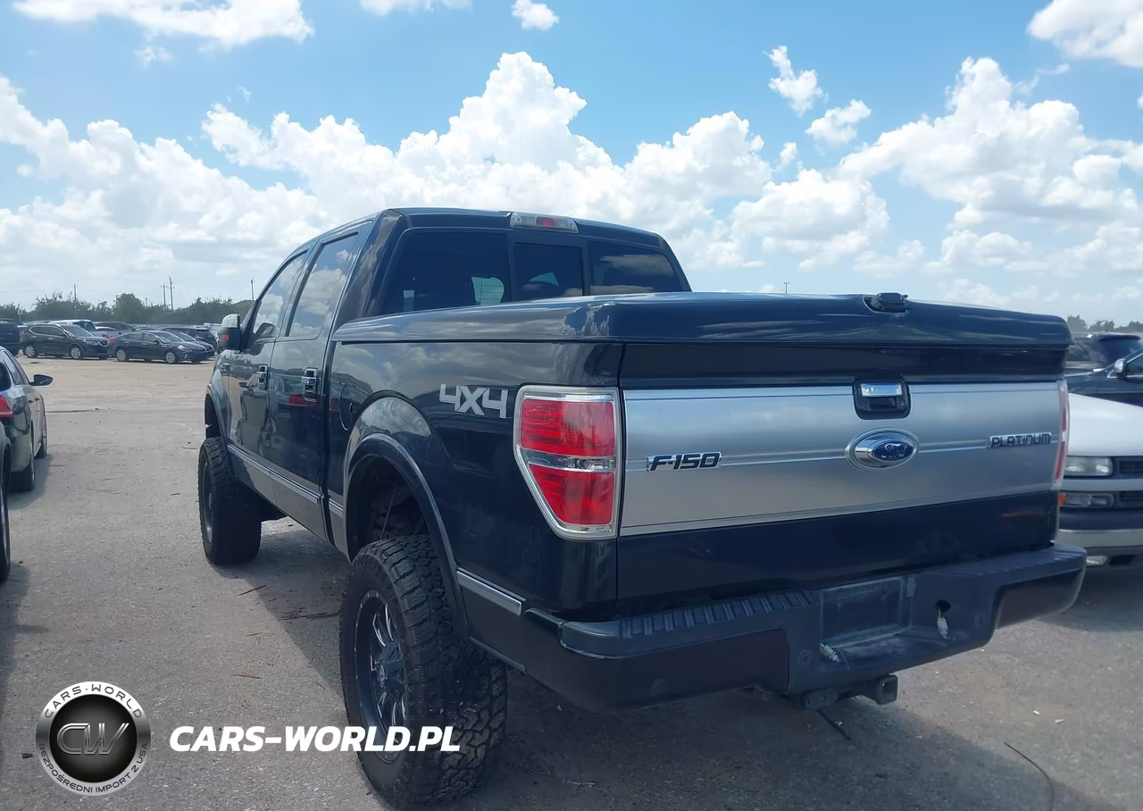 2013 Ford F-150 Platinum VIN:1FTFW1ET7DFB19393 - 3