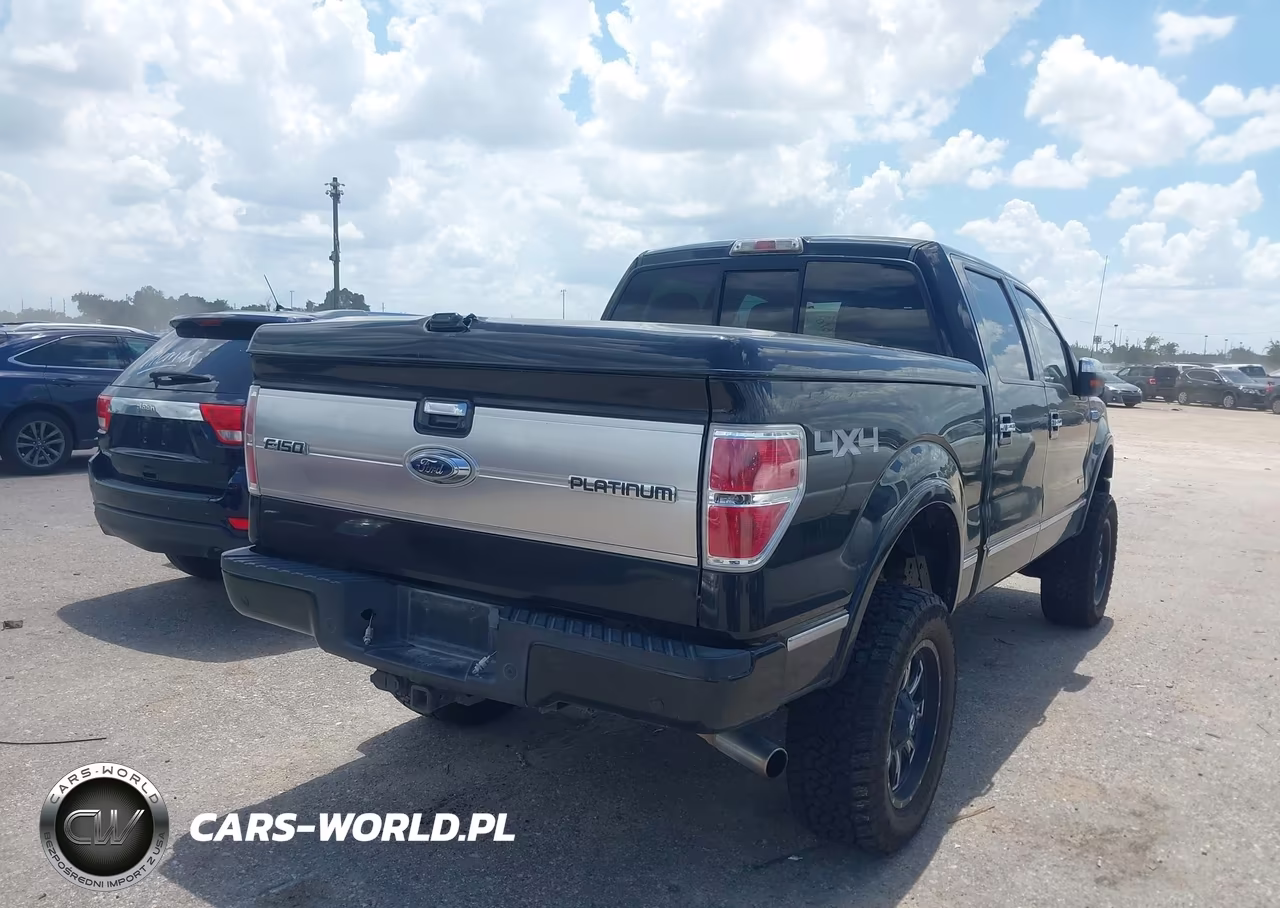 2013 Ford F-150 Platinum VIN:1FTFW1ET7DFB19393 - 4