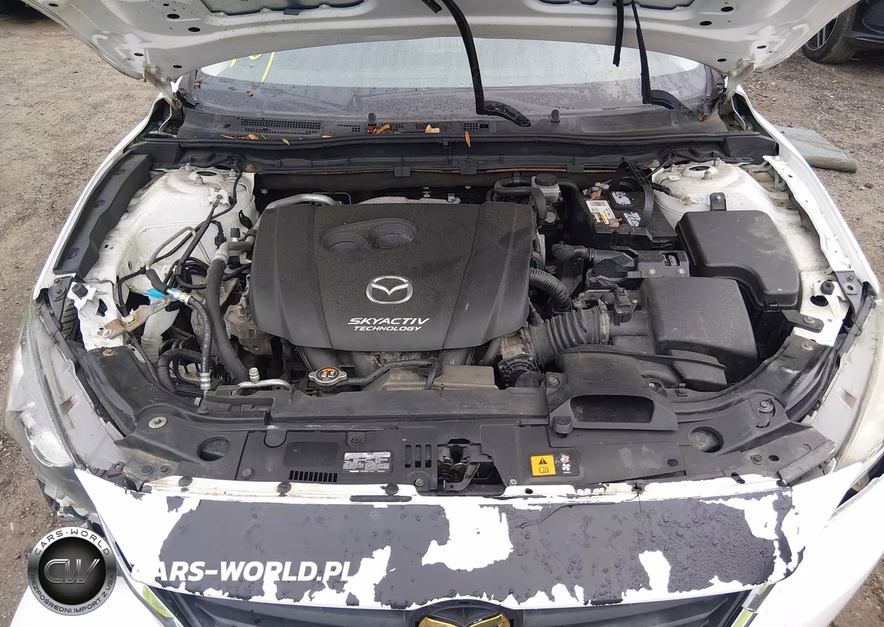 2014 Mazda Mazda3 I Sport VIN:JM1BM1U76E1121319 - 10