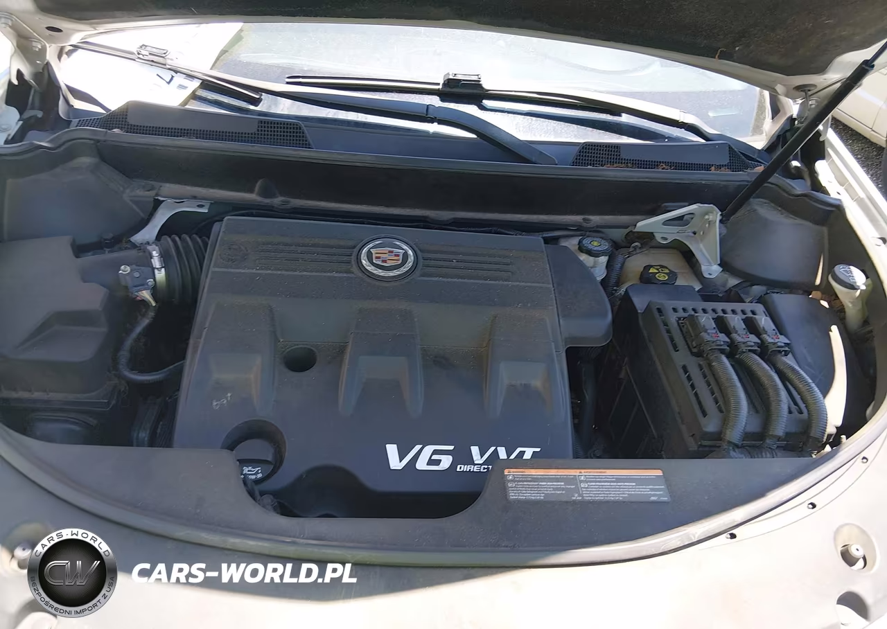 2012 Cadillac Srx Luxury Collection VIN:3GYFNAE36CS509098 - 10