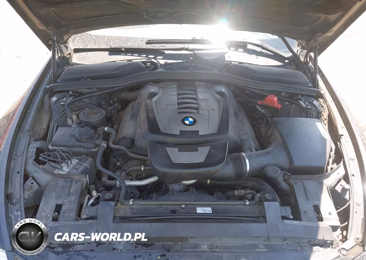 2010 BMW 650I VIN:WBAEA5C52ACV93610 - 10