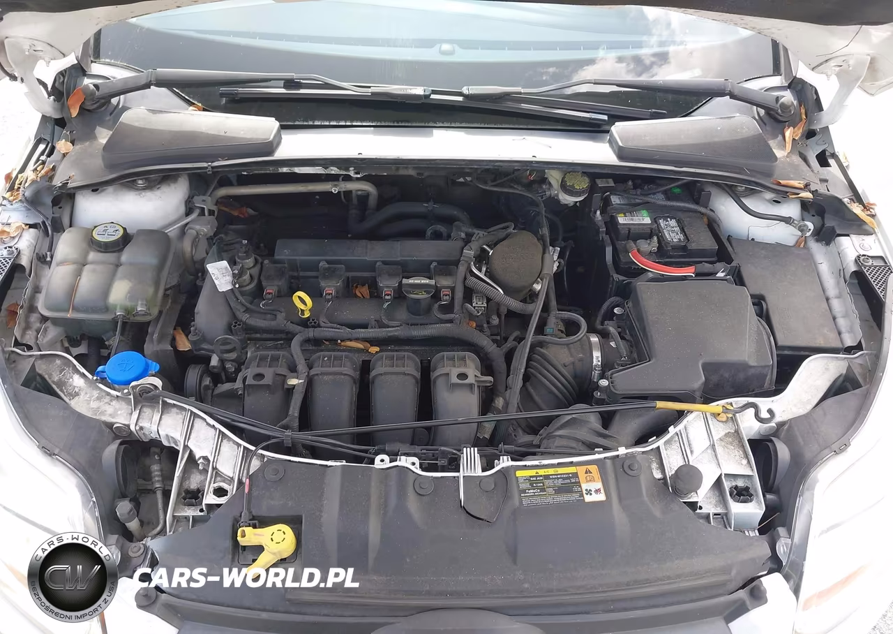 2013 Ford Focus Se VIN:1FADP3F21DL284207 - 10