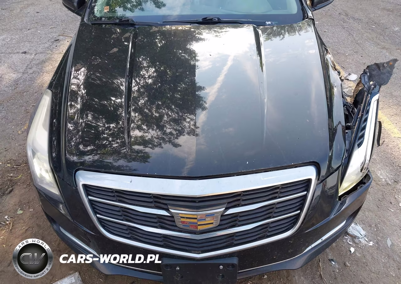 2016 Cadillac Ats Turbo Standard VIN:1G6AG1RXXG0102182 - 12