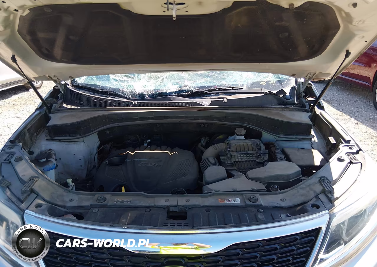 2014 Kia Sorento Lx VIN:5XYKT3A60EG475489 - 10