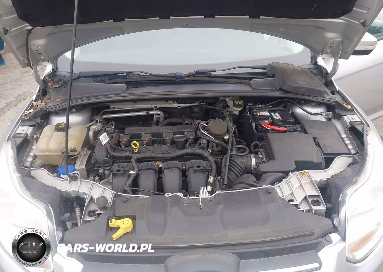 2014 Ford Focus Se VIN:1FADP3K24EL304778 - 10