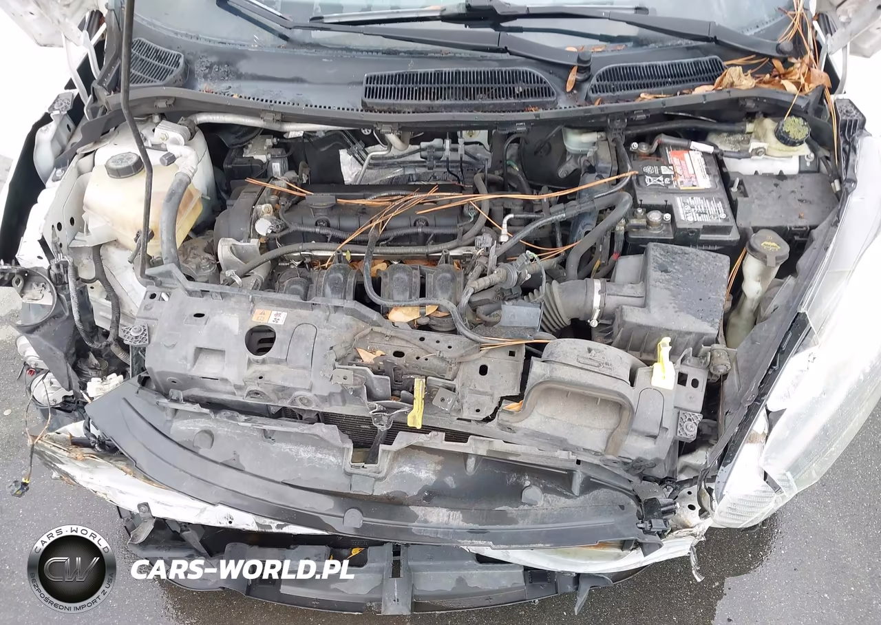 2014 Ford Fiesta Se VIN:3FADP4EJ2EM191324 - 10