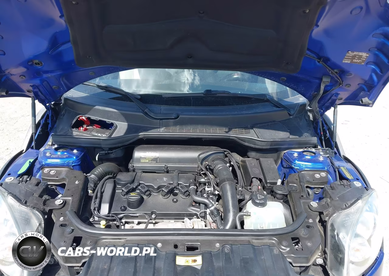 2013 Mini Paceman Cooper S VIN:WMWSS7C55DWN51849 - 10