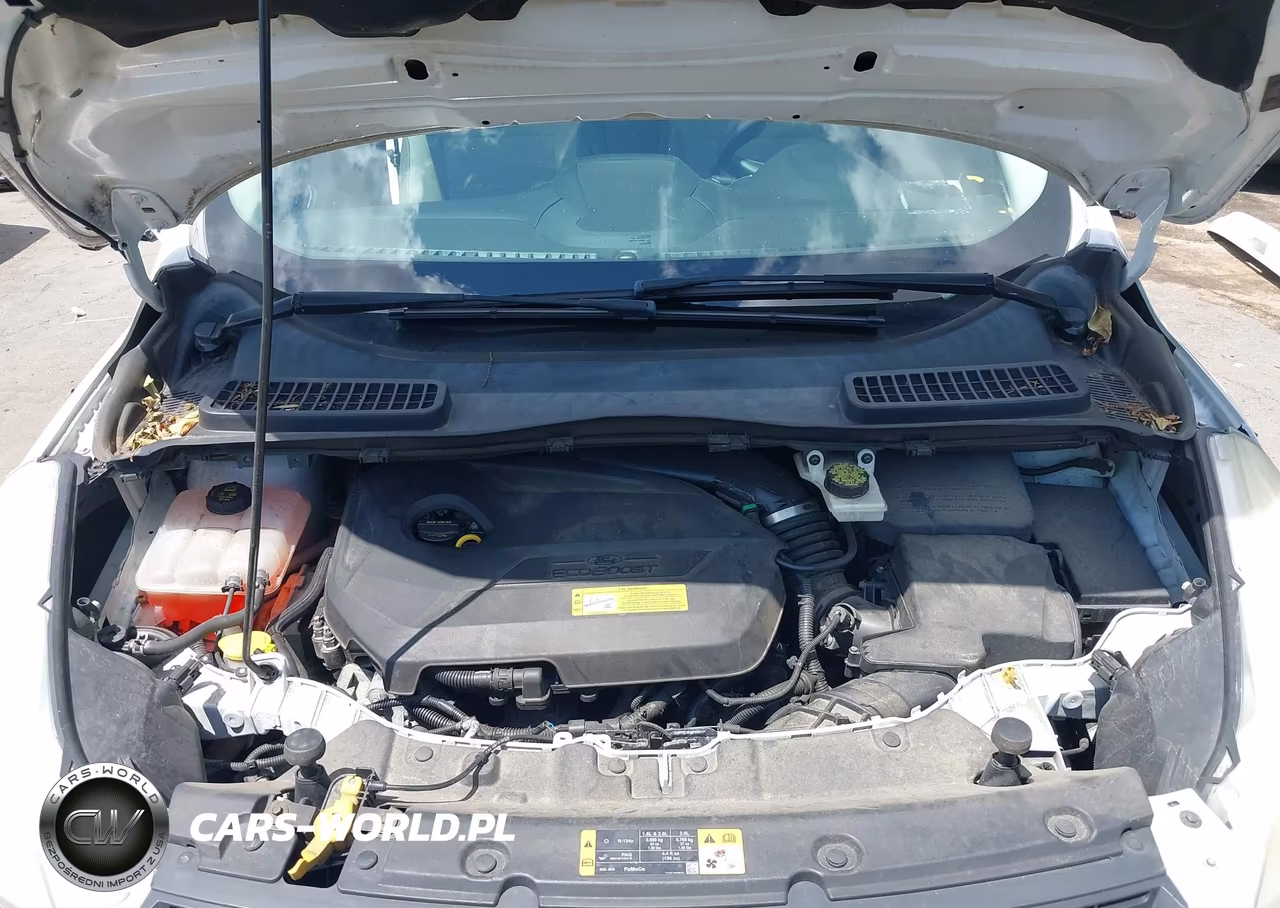 2013 Ford Escape Se VIN:1FMCU0GX4DUC67821 - 10