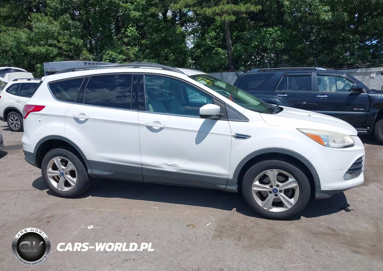 2013 Ford Escape Se VIN:1FMCU0GX4DUC67821 - 14
