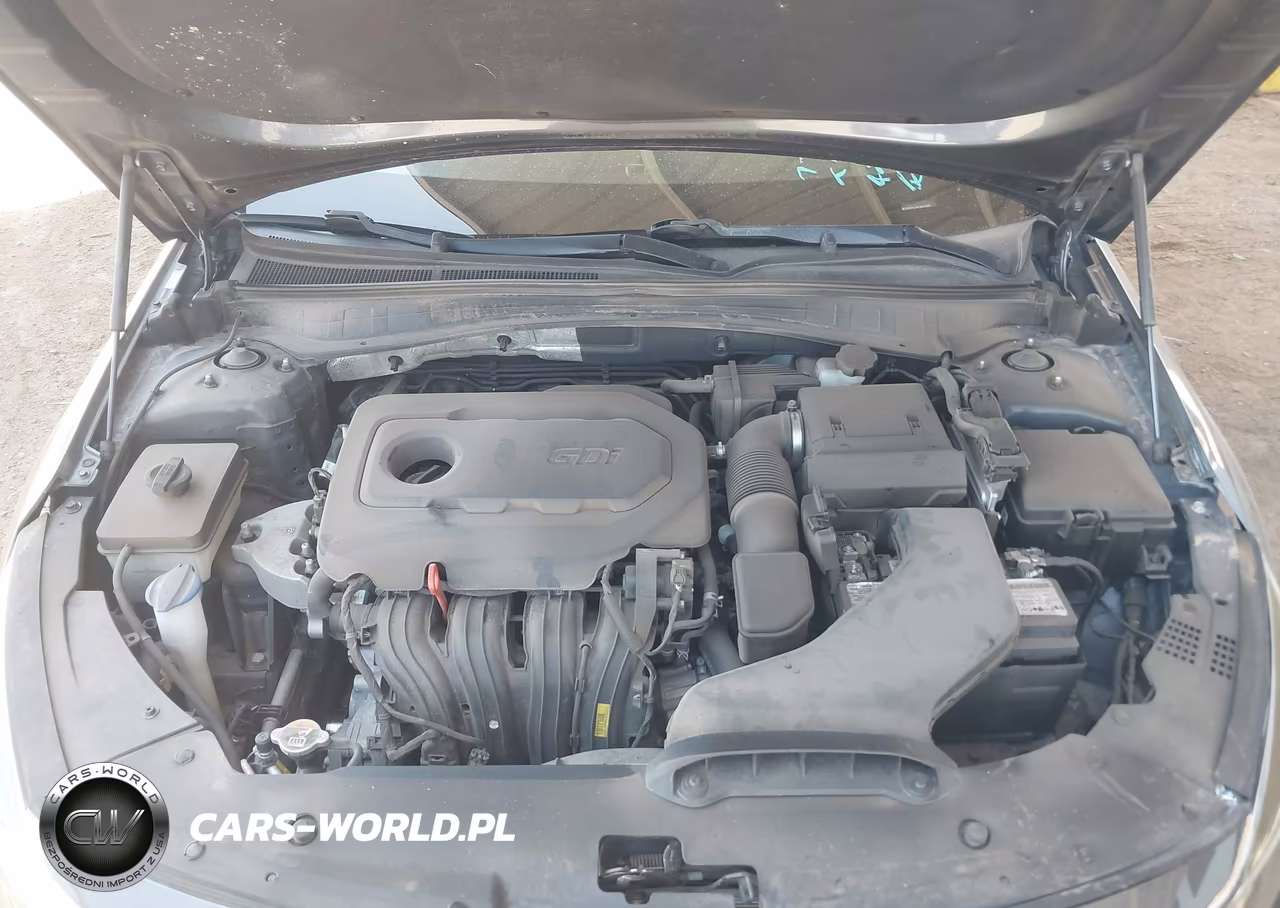 2020 Kia Optima Lx VIN:5XXGT4L36LG423509 - 10
