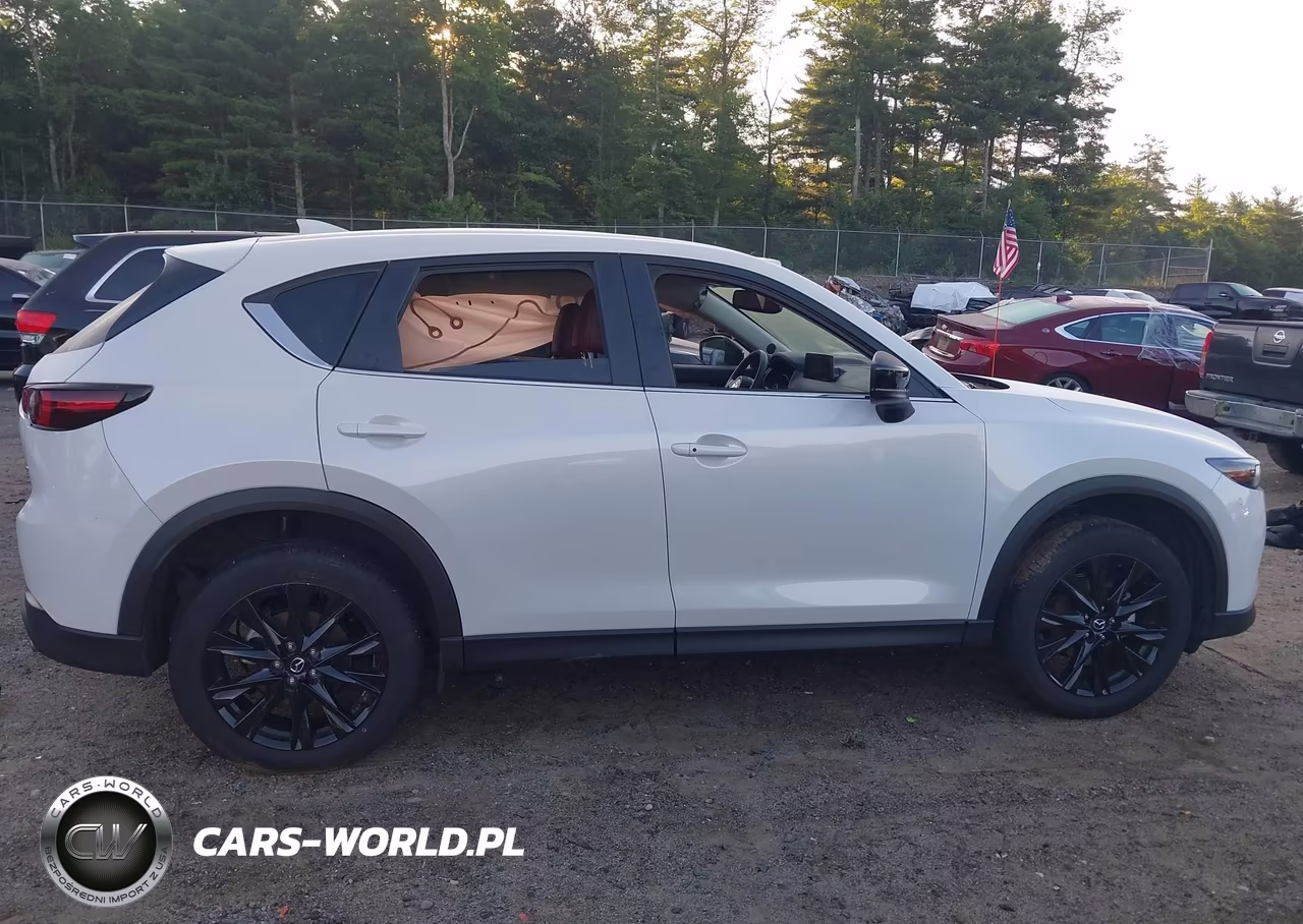 2025 Mazda Cx-5 2.5 S Carbon Edition VIN:JM3KFBCM5S0786812 - 14