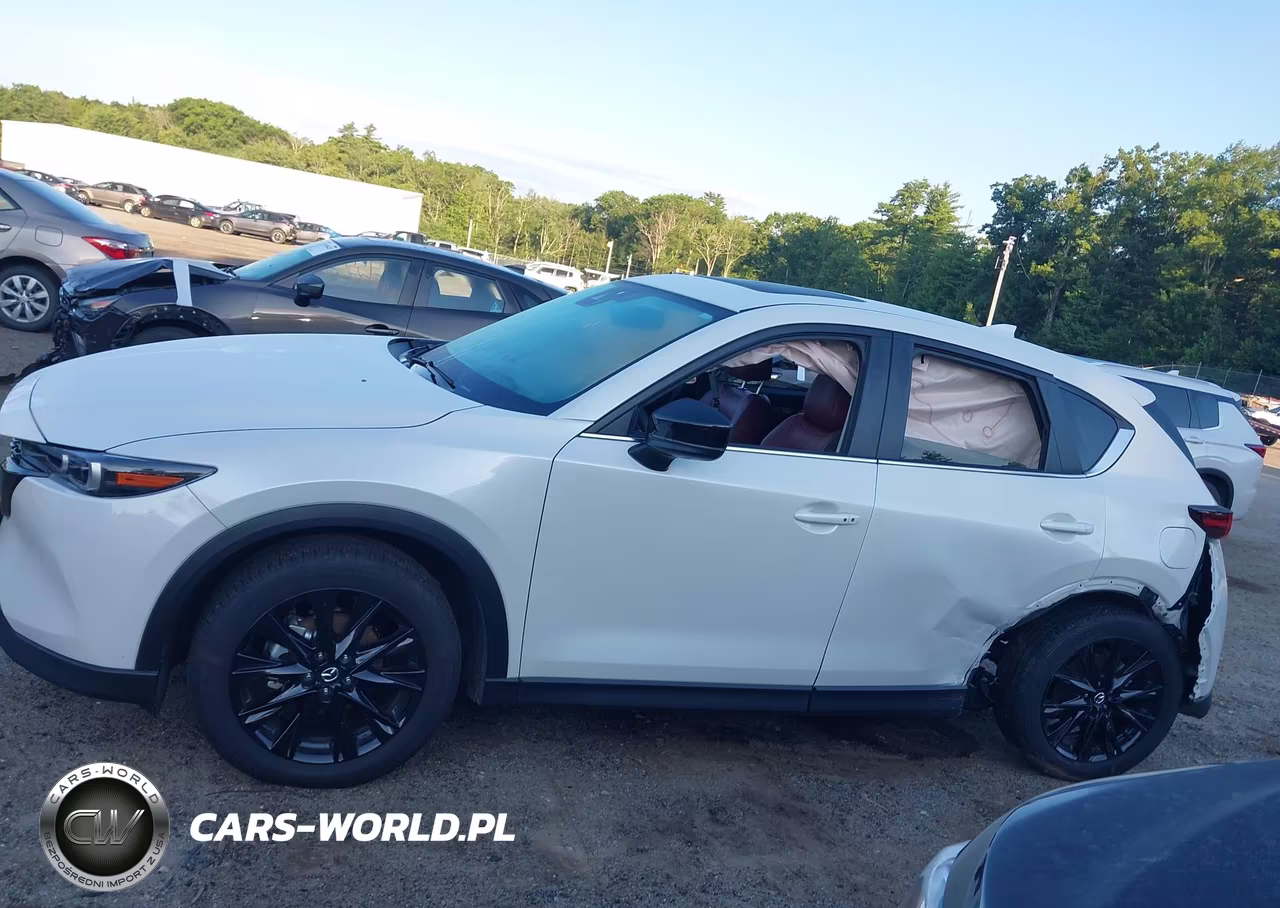 2025 Mazda Cx-5 2.5 S Carbon Edition VIN:JM3KFBCM5S0786812 - 15