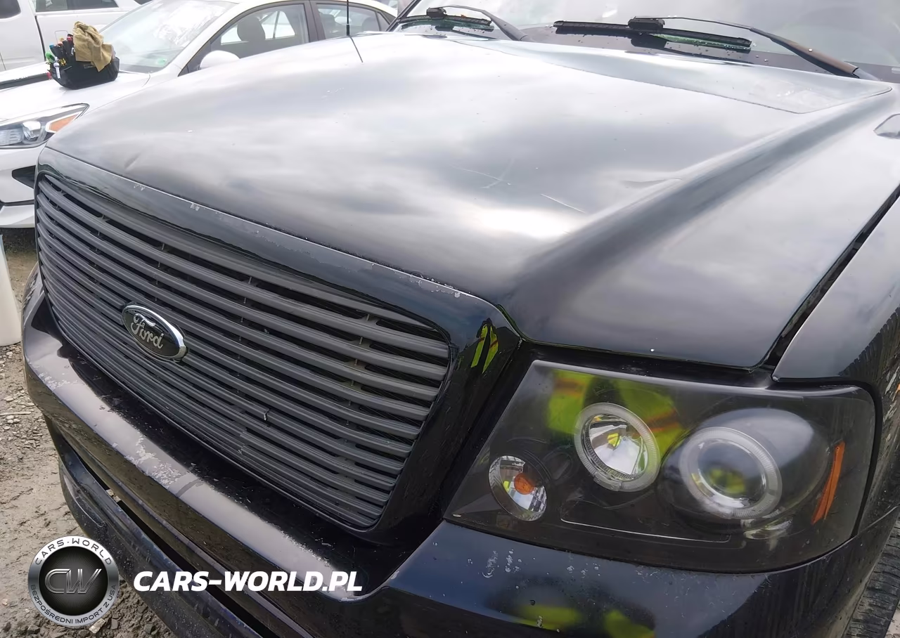 2007 Ford F-150 Lariat-Stx-Xl-Xlt VIN:1FTPX12V87KD55179 - 10