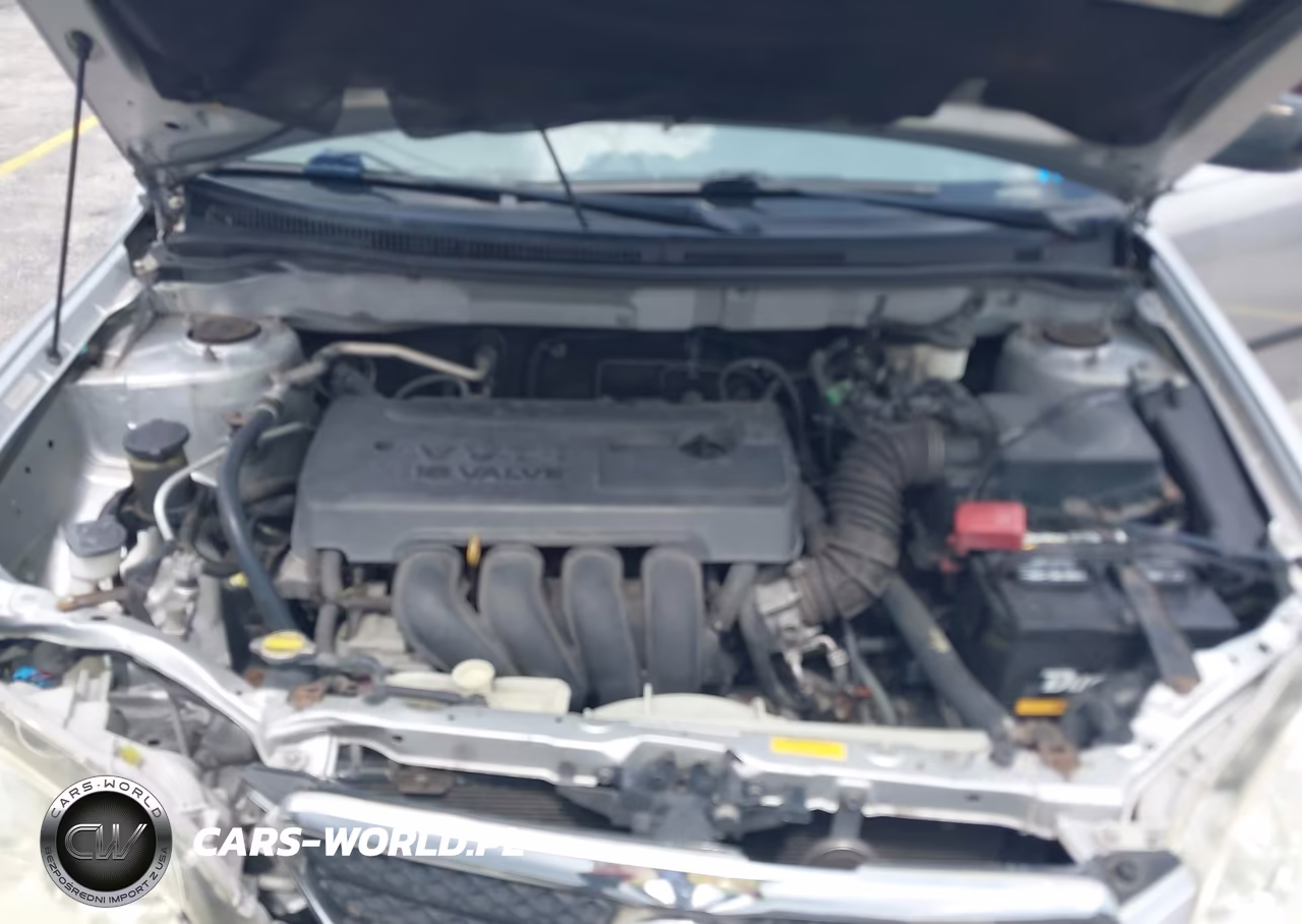 2005 Toyota Corolla Ce VIN:JTDBR32EX52059626 - 10