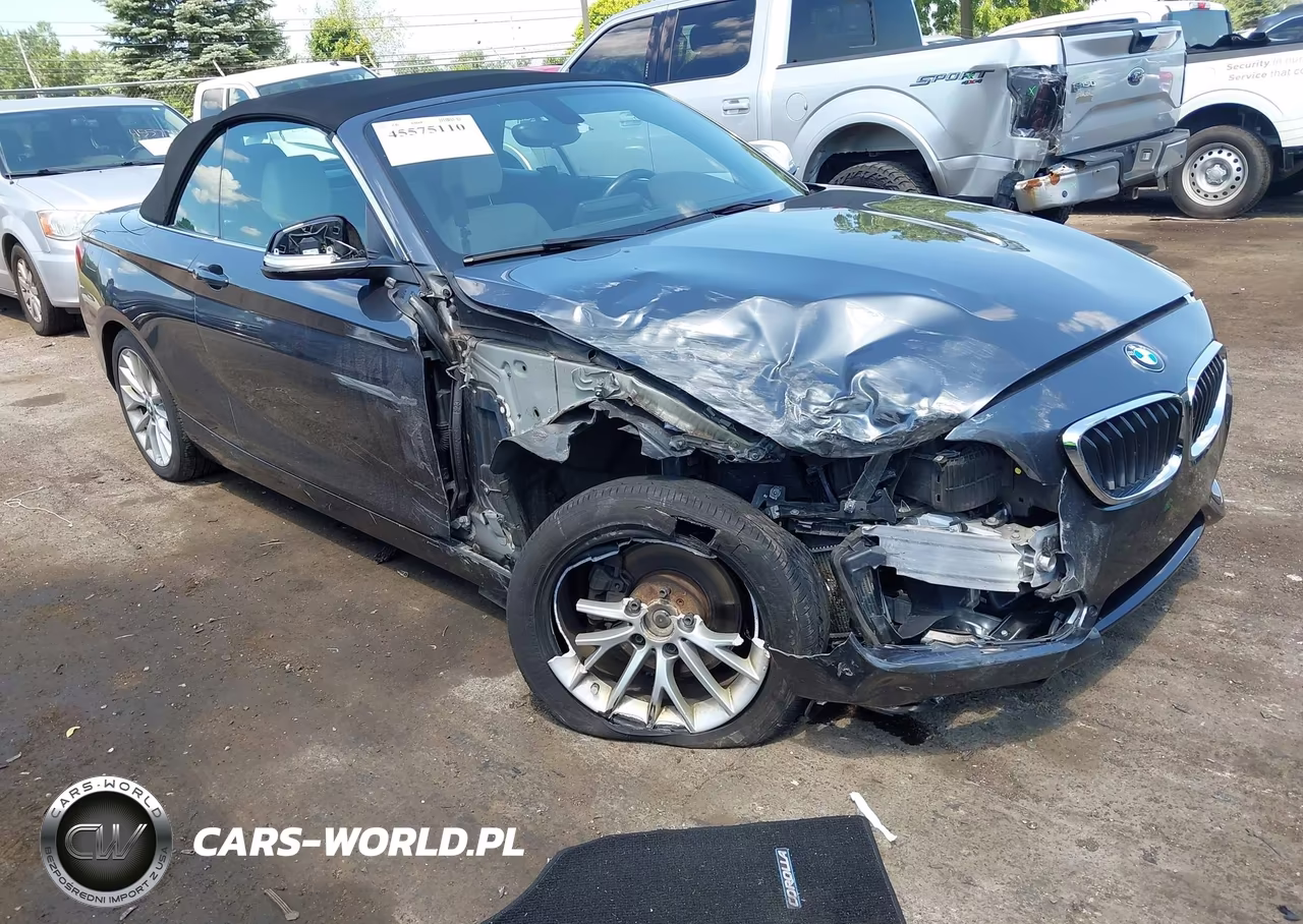 2016 BMW 228I