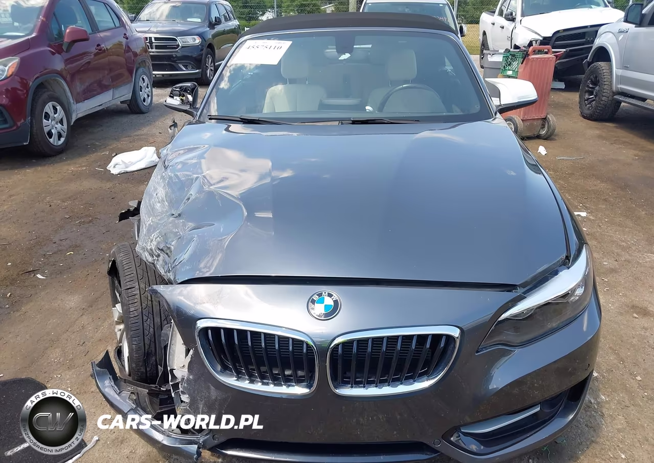 2016 BMW 228I VIN:WBA1K9C5XGV321693 - 12