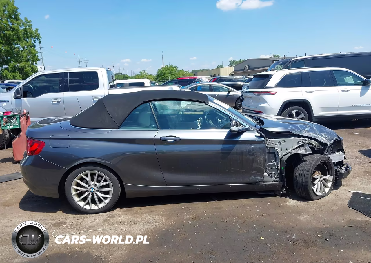 2016 BMW 228I VIN:WBA1K9C5XGV321693 - 13