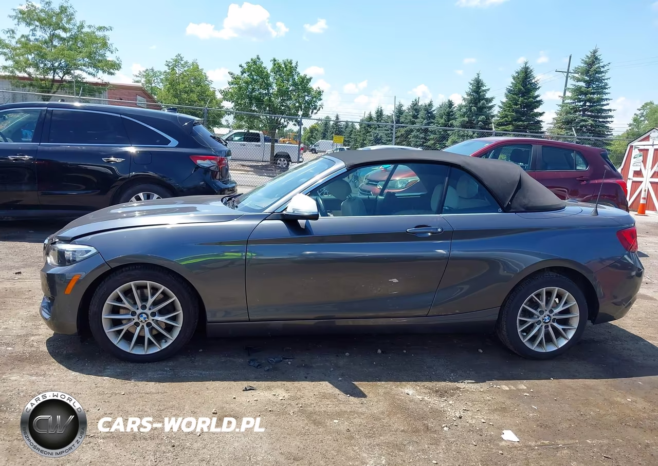 2016 BMW 228I VIN:WBA1K9C5XGV321693 - 14