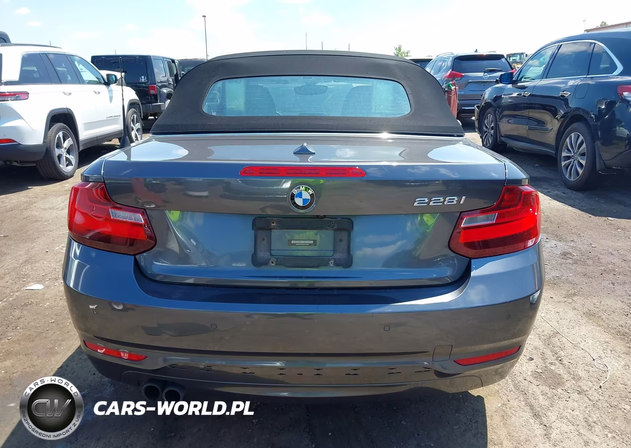 2016 BMW 228I VIN:WBA1K9C5XGV321693 - 16