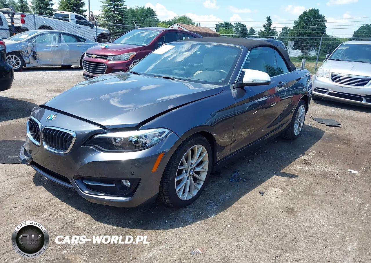 2016 BMW 228I VIN:WBA1K9C5XGV321693 - 2