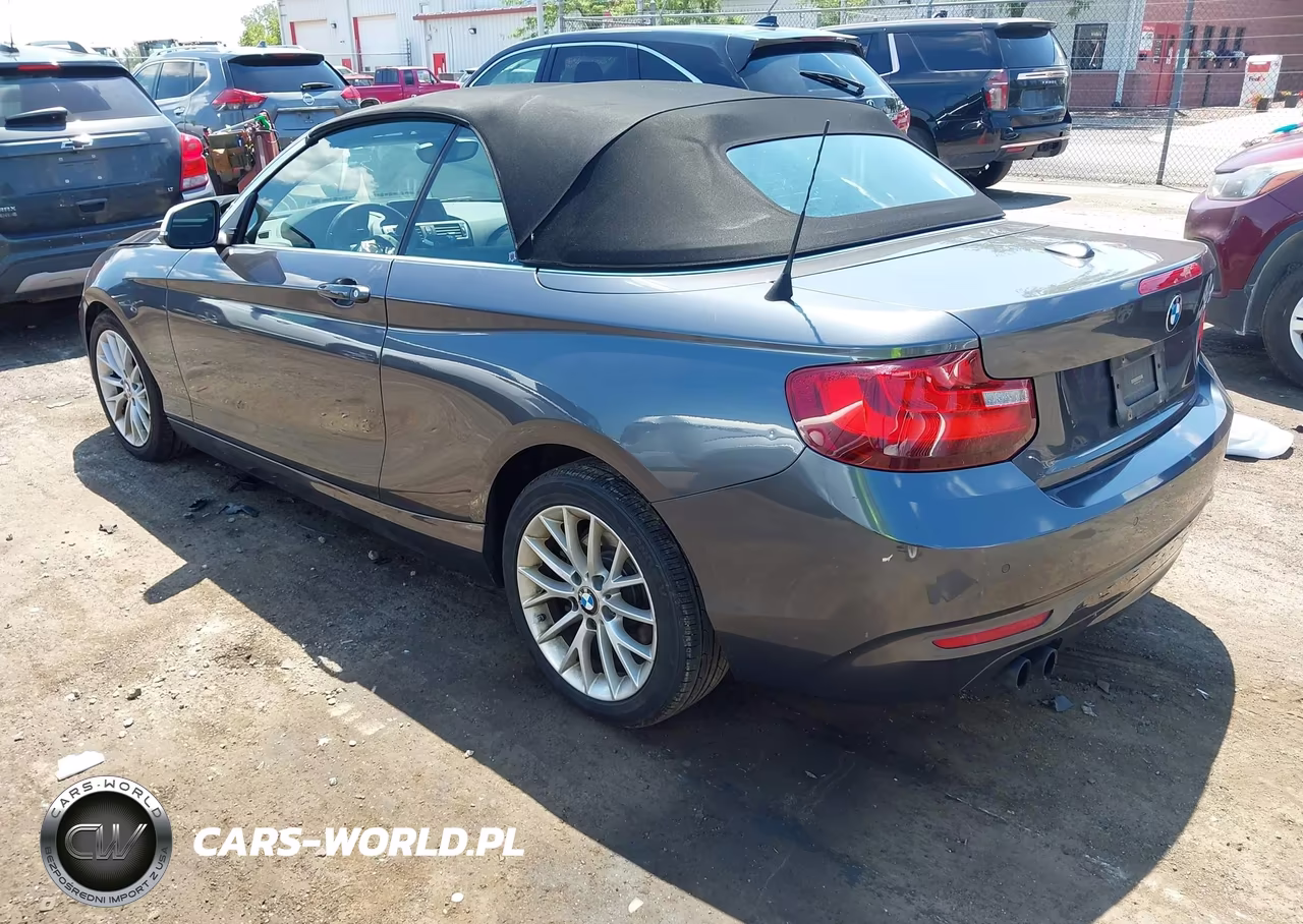 2016 BMW 228I VIN:WBA1K9C5XGV321693 - 3