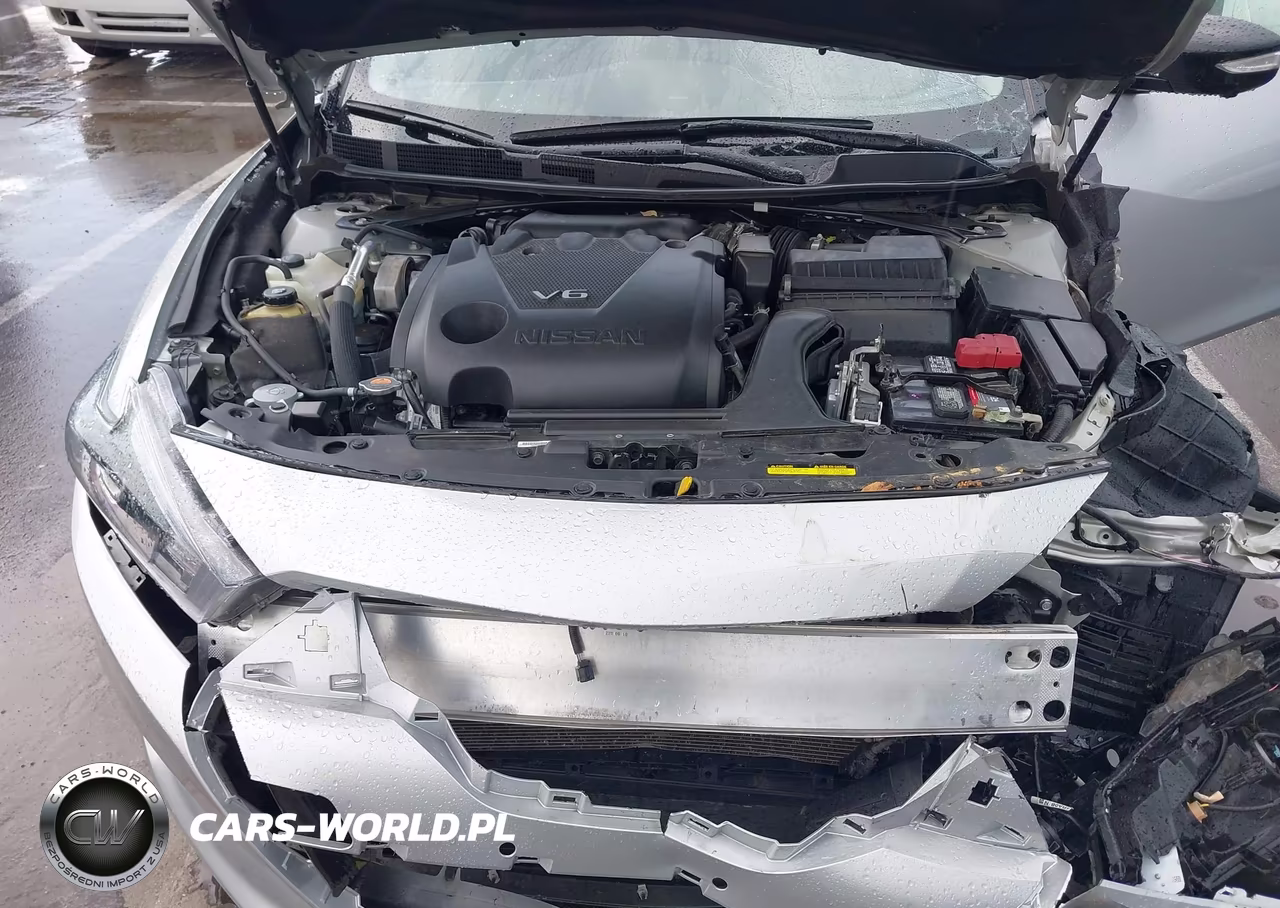 2018 Nissan Maxima 3.5 Platinum VIN:1N4AA6AP3JC401774 - 10